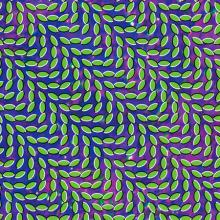 Animal Collective: “Bluish” from Merriweather Post Pavilion